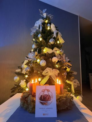 Rád bych Vám touto cestou popřál pokojné a láskou naplněné Vánoce. Přeji Vám, ať se všichni společně sejdete u vánočního...